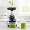 51pLVmqx76L._AC_SL1000_ Omega Masticating Juicer MM900HDS review Cold Press Machine for Celery and Nutrient Boost