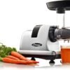 71XMSLOeu0L._AC_SL1500_ Omega J8007S Cold Press Juicer Review Best for Nut Milks and Healthy Snacks